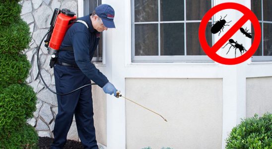 Keçiborlu Akrep İlaçlama böcek ilaçlama ve haşere kontrolü — ilaclama-tr.com